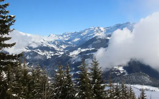 Landscape near Leysin