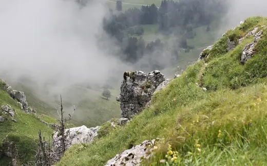 Landscape near Moléson