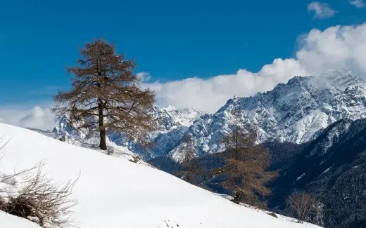 Stock photo: winter landscape in the Alps